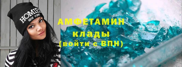 крисы Новозыбков