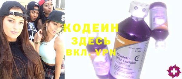 крисы Новозыбков