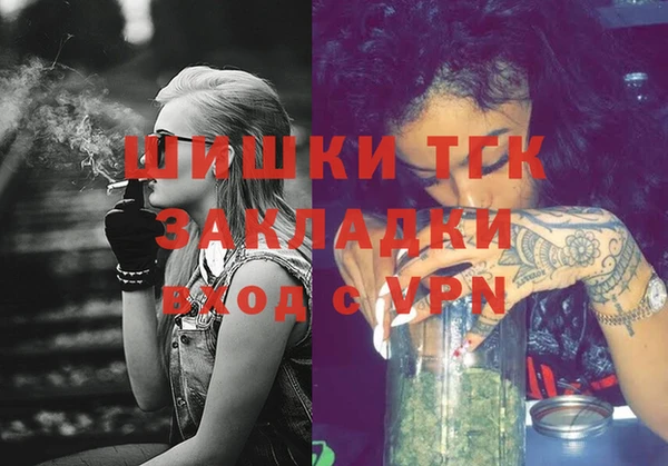 дмт Новодвинск
