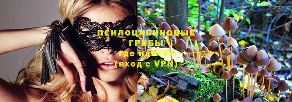 альфа пвп Нефтегорск