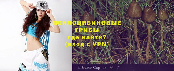крисы Новозыбков