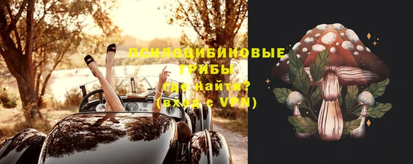 крисы Новозыбков