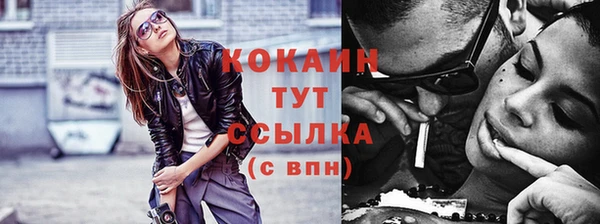 дмт Новодвинск