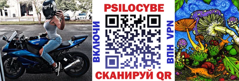 Псилоцибиновые грибы Cubensis  Шагонар 